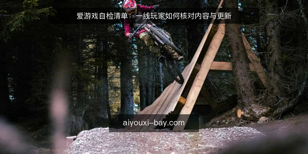 爱游戏自检清单：一线玩家如何核对内容与更新 — 信号观察：哪些迹象提示你需要自检 配图