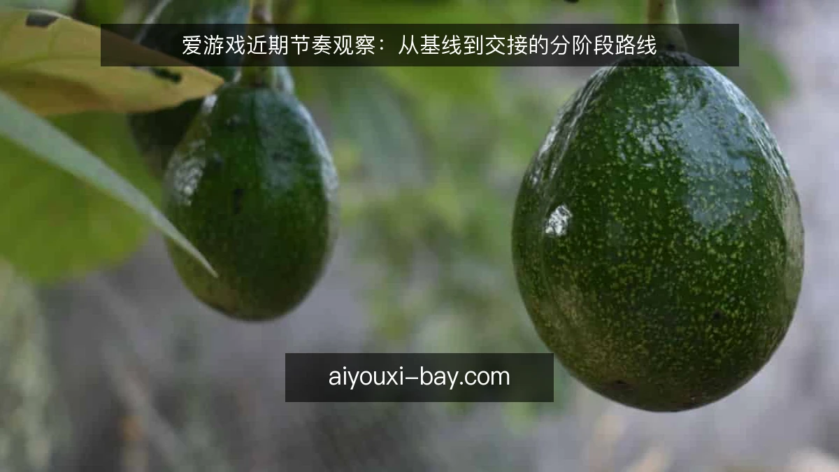 爱游戏近期节奏观察:从基线到交接的分阶段路线